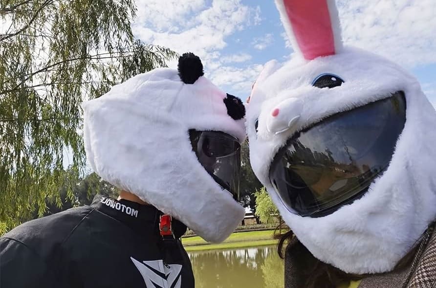 Bunny Helmet Cover Benefits